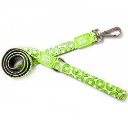 Max & Molly Kiwi Leash 
